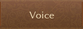 Voice